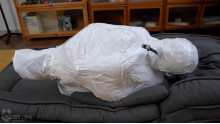 呼吸制御と口腔内虐待のMummification
